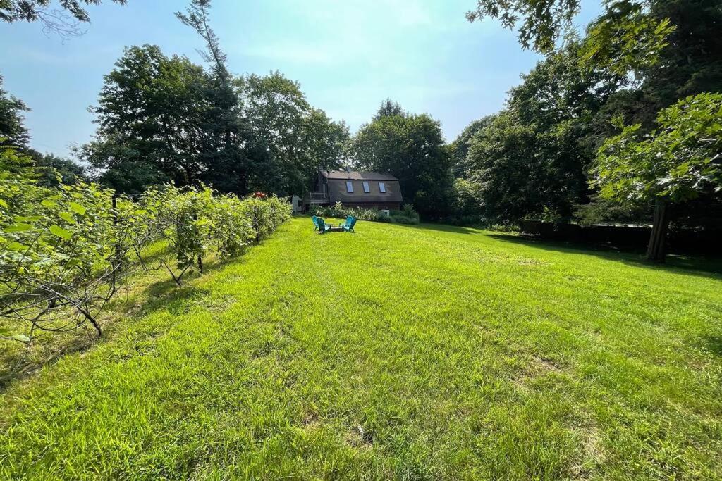 Newly Renovated Carriage House Near Town & Beaches Madison Exteriér fotografie